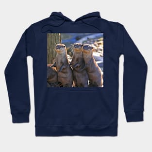 A Bevy of Otters Hoodie